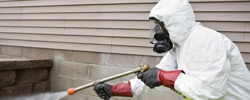 24 Hour Emergency Pest Control Services near El Sauz, Texas