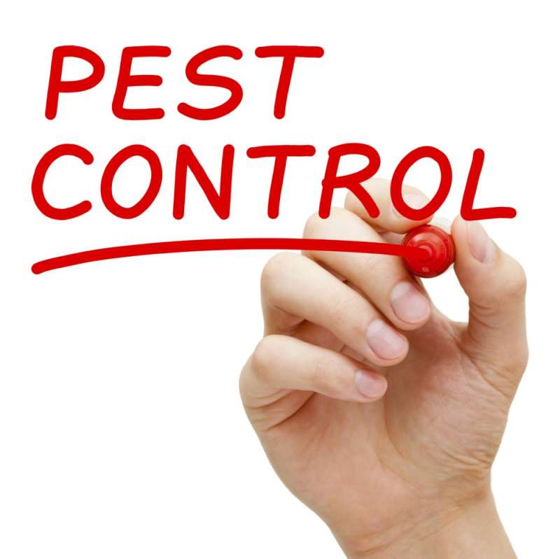 bug out pest control in Newark