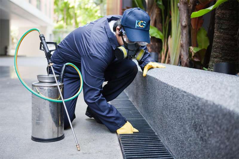 24 Hour Emergency Pest Control Services near Lyman Village, Nebraska