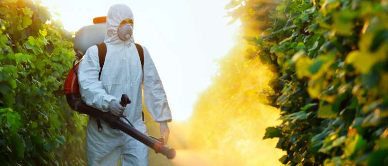 bug emergency in Wilmont