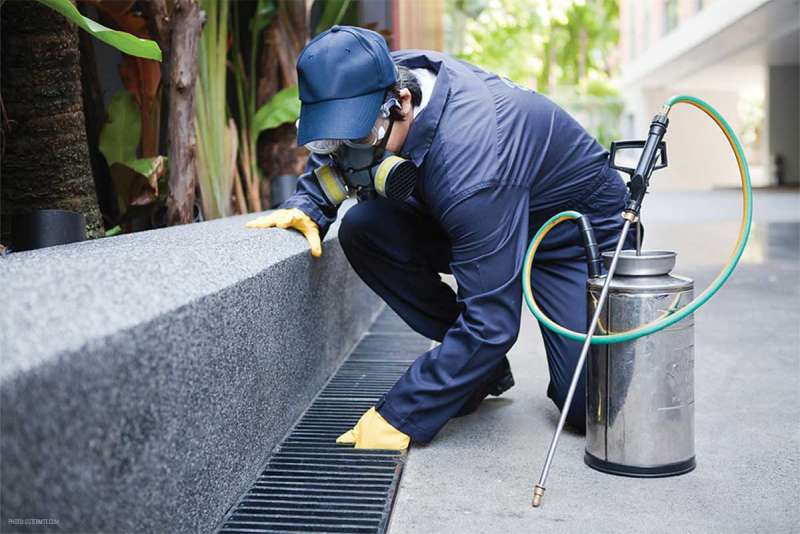 pest control contractors in Kendall