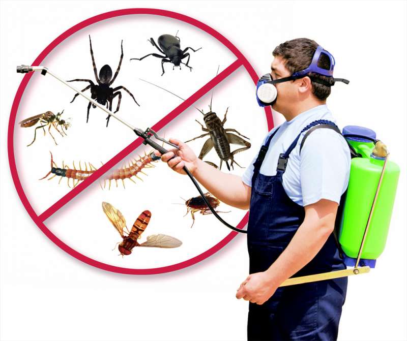 local pest control services in Hyde County