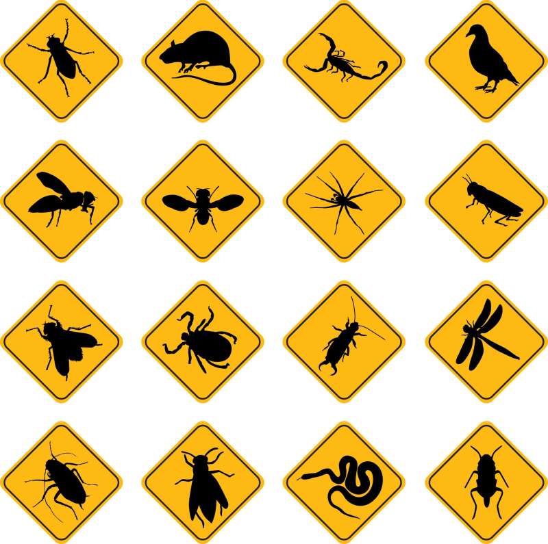 residential pest control company in Logan