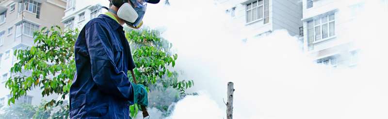emergency pest services in Round Lake Village