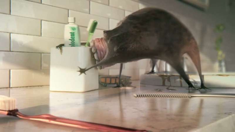 24 Hour Emergency Pest Control Services near Sugar Grove Borough, Pennsylvania