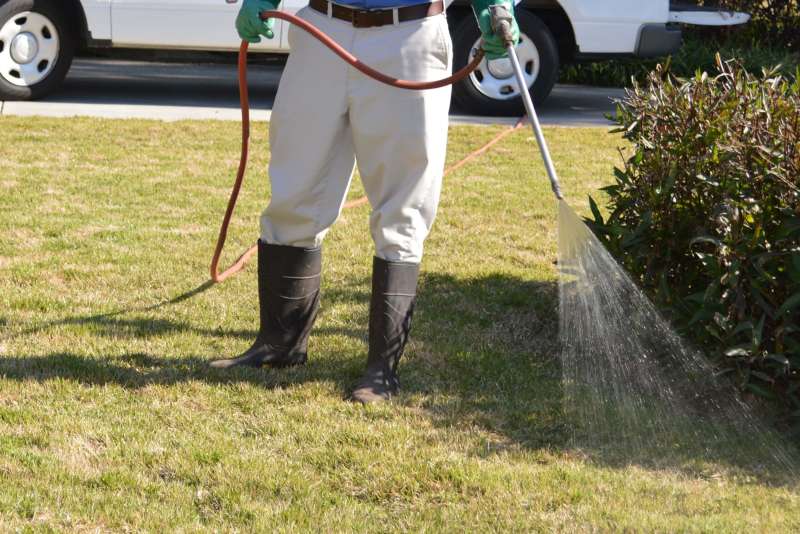 pest control online in Fairmount Heights