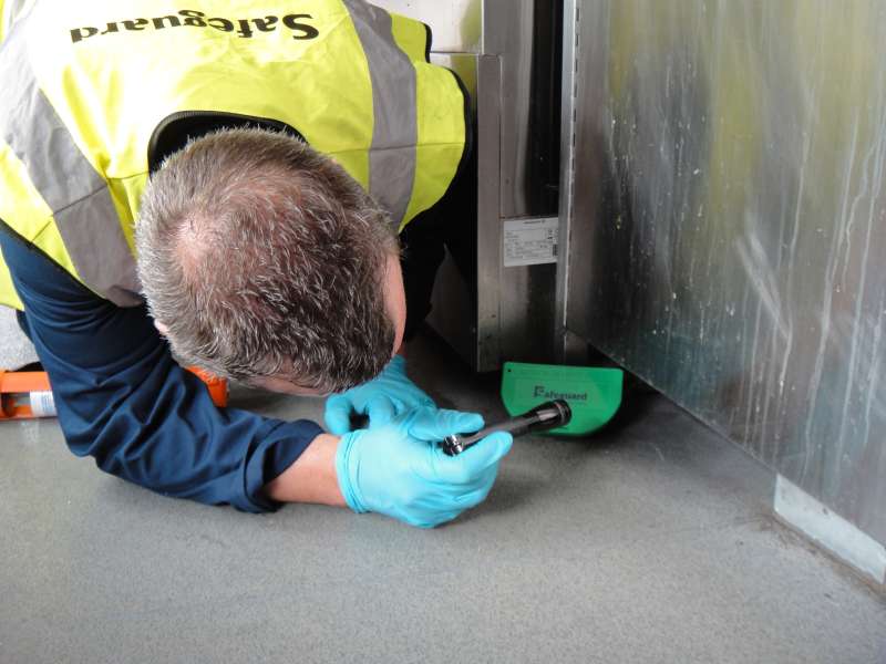 emergency pest removal in Missoula County