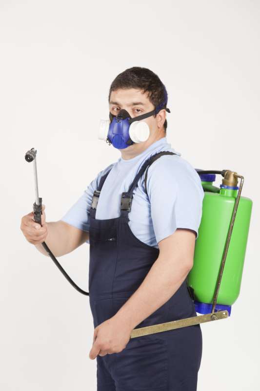 24 hour rodent removal in Englewood