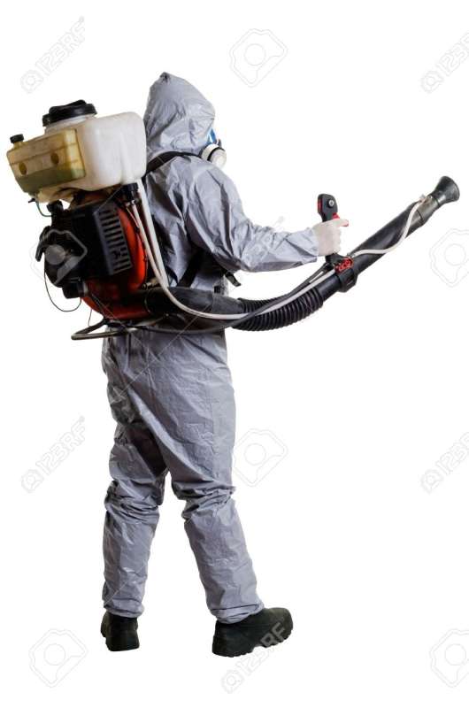 pest control online in Englewood