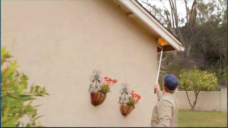 pest management services in Eaton Estates