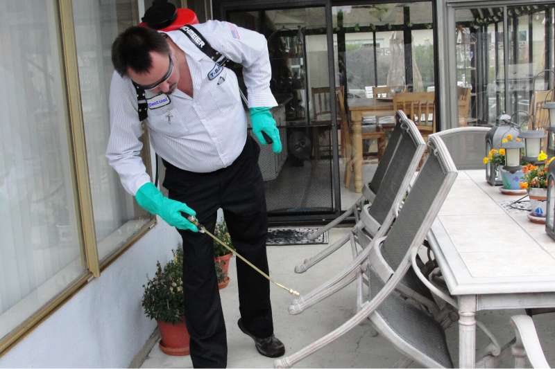 quality pest control in Winterhaven