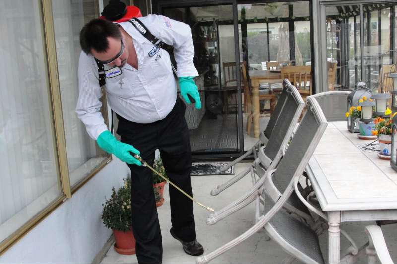 pest management services in Plymouth