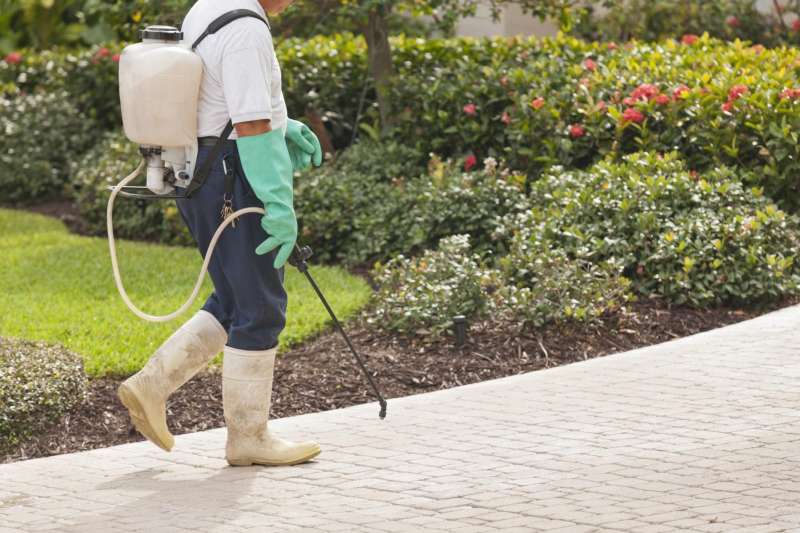 24 Hour Emergency Pest Control Services near Hampden Sydney, Virginia