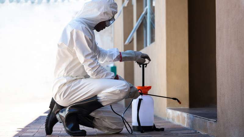 emergency rodent control in Carolina Beach