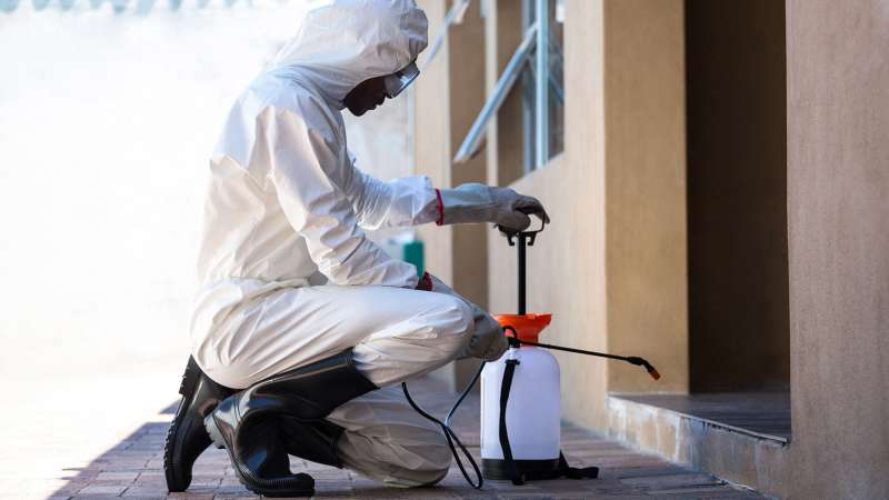 pest control ultrasonic in Laingsburg