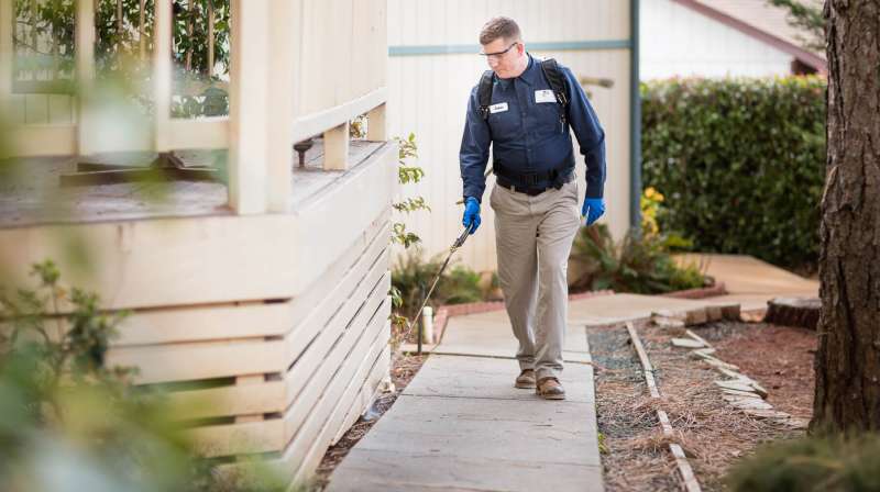 24 Hour Emergency Pest Control Services near Floydada, Texas