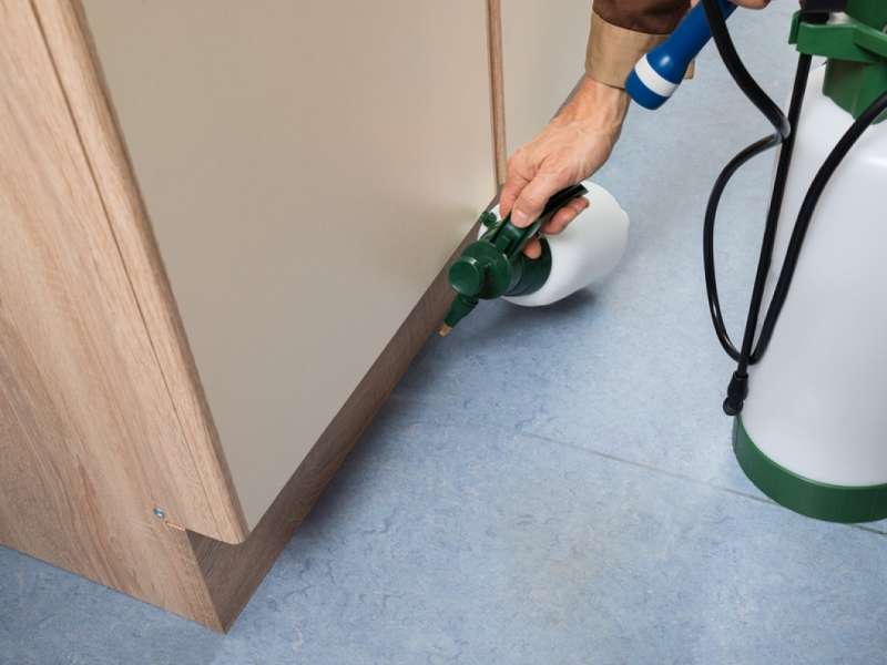 local pest control services in New Providence