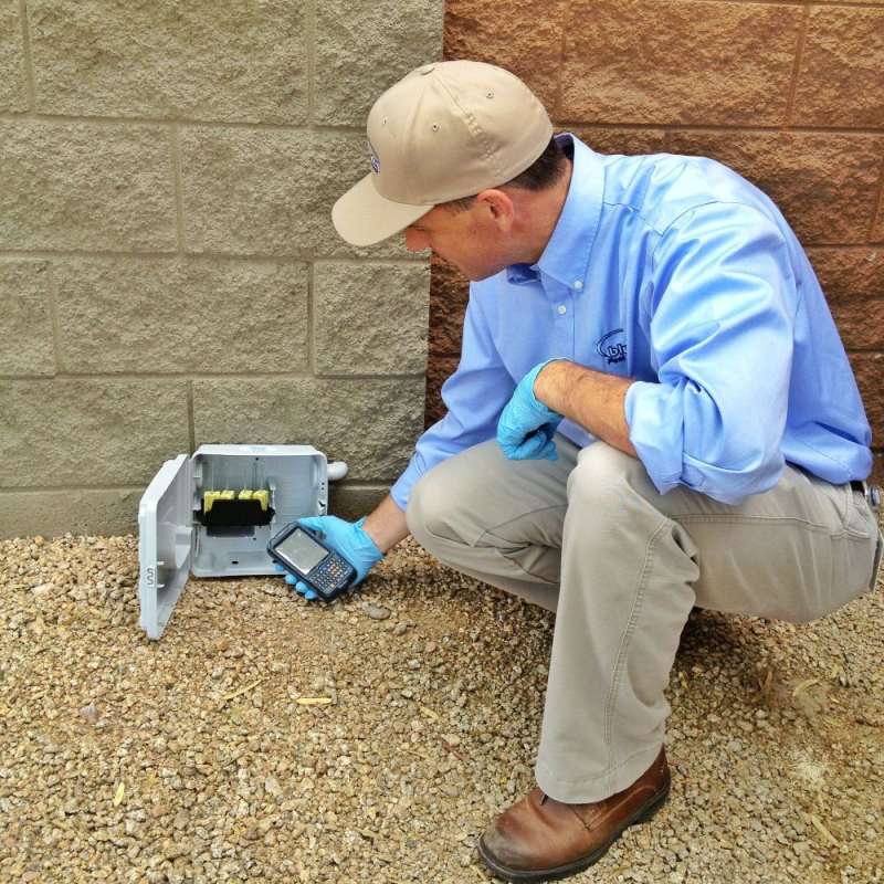 emergency pest control services in North Conway