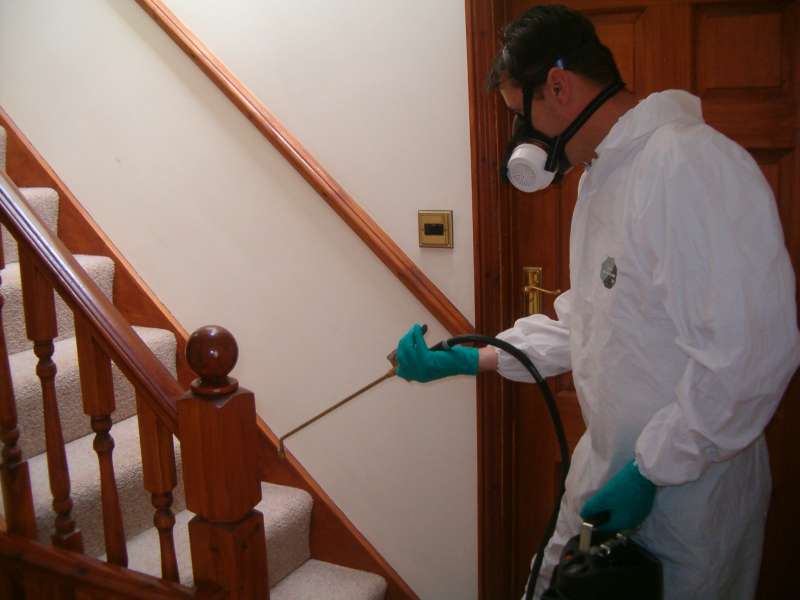 professional pest control services in Pinecrest village