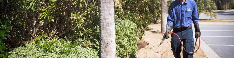 24 Hour Emergency Pest Control Services near Ryan, Oklahoma