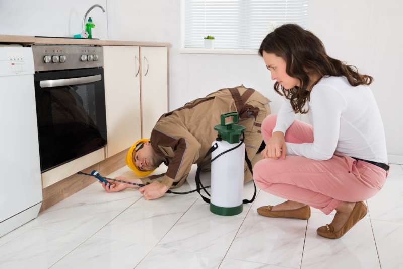 pest control hotline in West Hurley