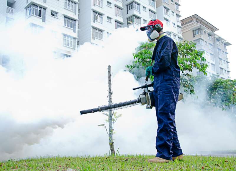 colonial pest control in Rome