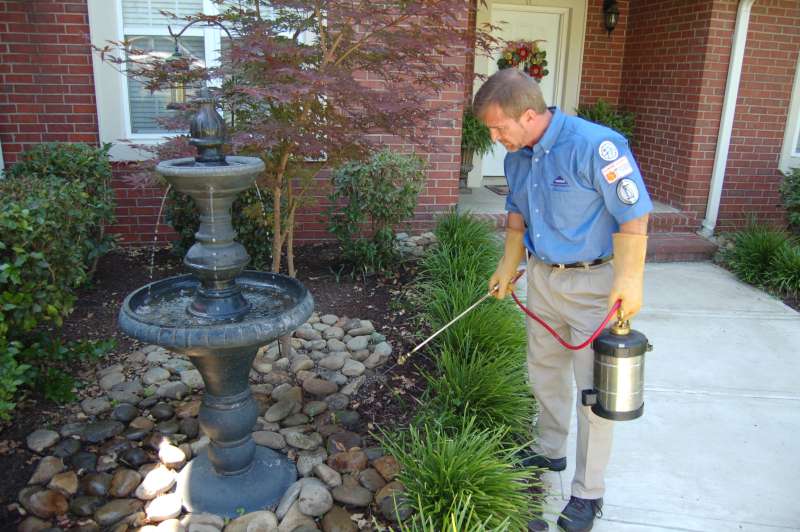 pest management professional in Huntersville