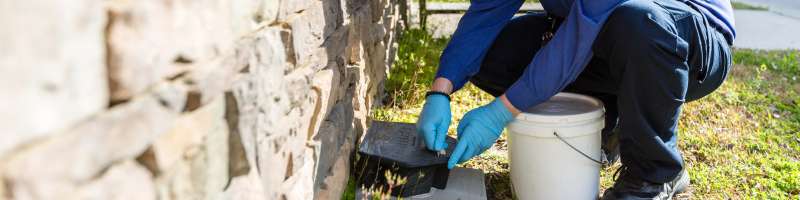gopher pest control in Manhattan Village