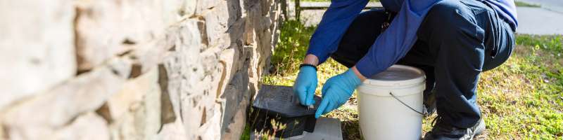 24 Hour Emergency Pest Control Services near Indianola, Washington