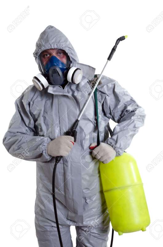 24 Hour Emergency Pest Control Services near Brewerton, New York