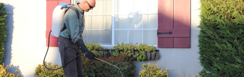 24 Hour Emergency Pest Control Services near Brewerton, New York