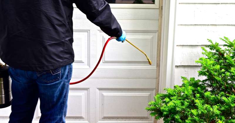 24 Hour Emergency Pest Control Services near Calumet, Minnesota