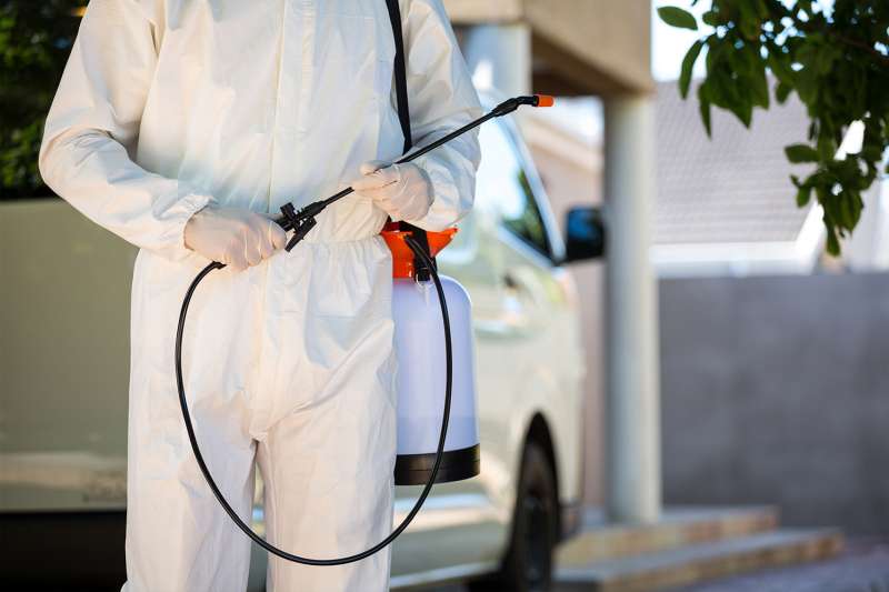 professional pest control products in Rio Bravo