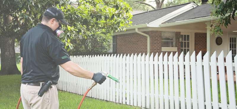 orange pest control in Chauvin