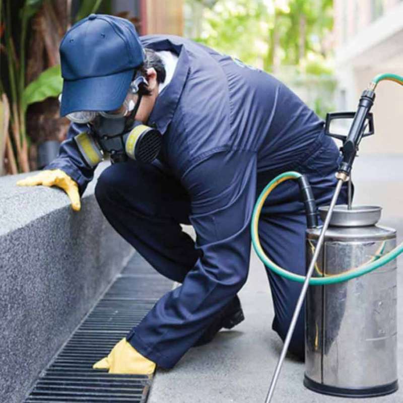 24 Hour Emergency Pest Control Services in Severn, North Carolina