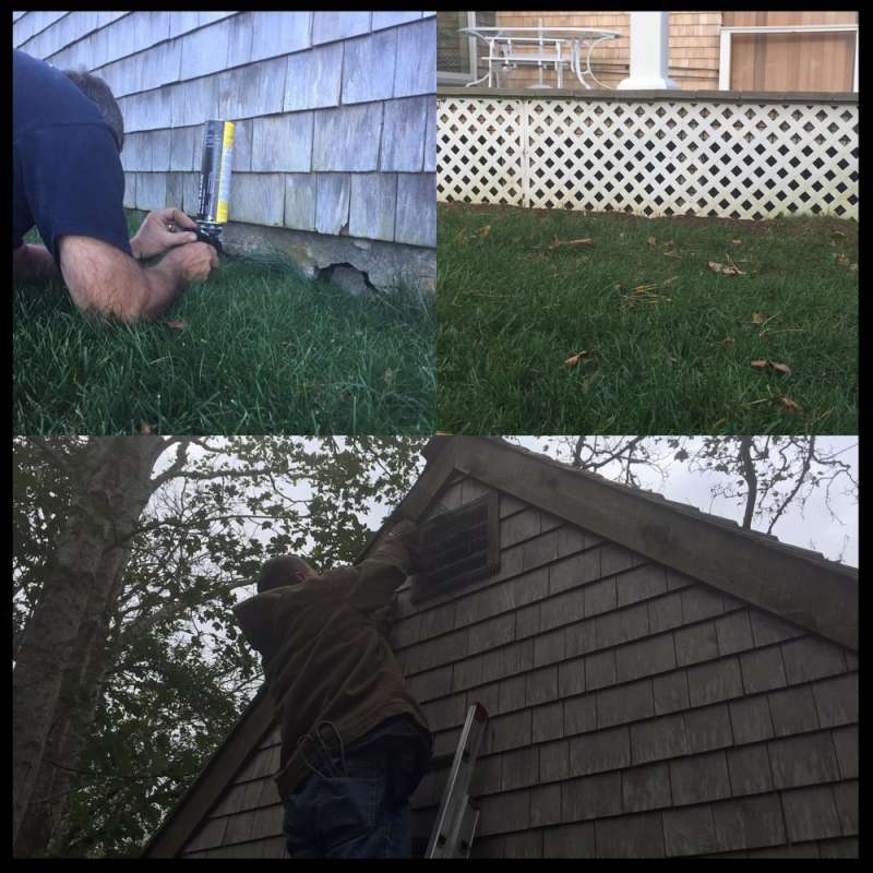 24 Hour Emergency Pest Control Services in Royal Village, Illinois