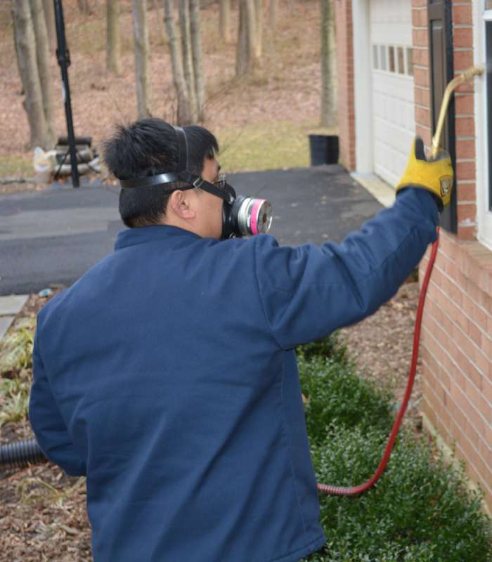 total pest control in Sterling