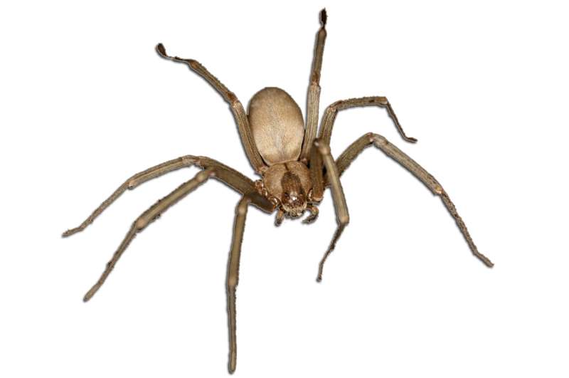 24 Hour Emergency Pest Control Services in Granite, Utah