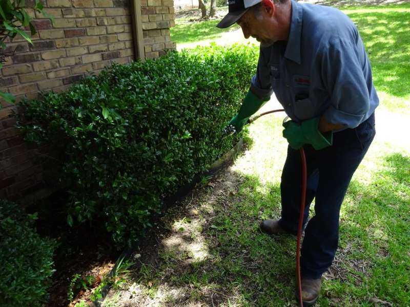 total pest control in Thomasboro Village