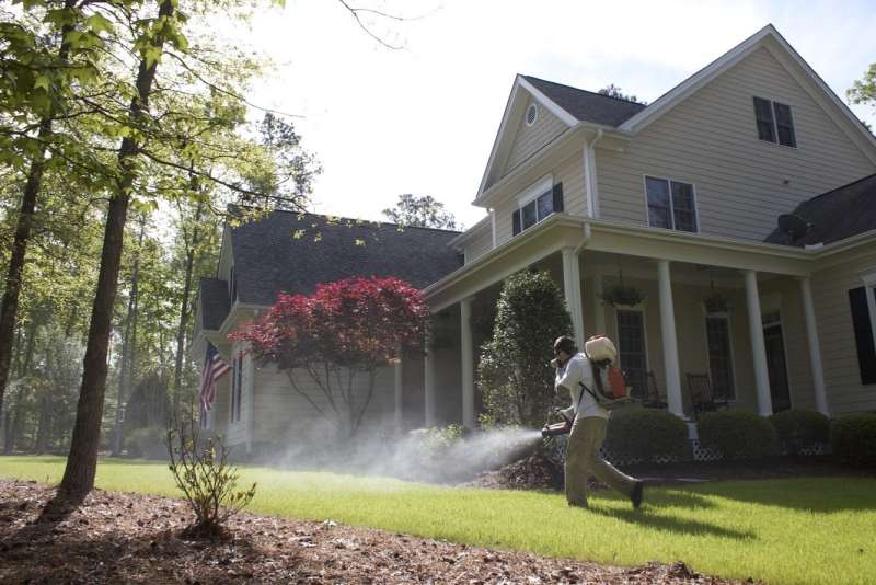 pest exterminators in Sterling