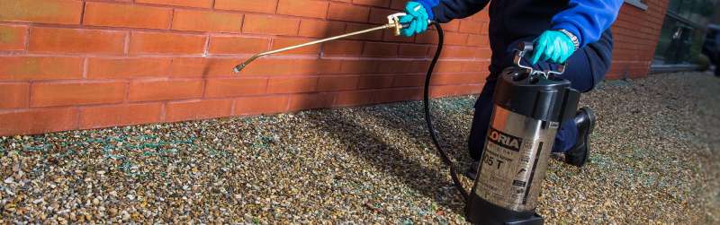 scorpion pest control in Chesapeake Ranch Estates-Drum Point