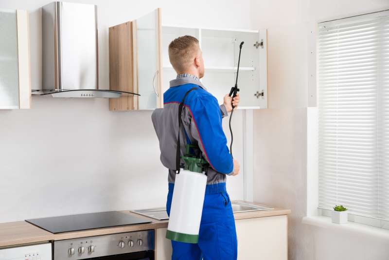 24 Hour Emergency Pest Control Services in Gordon Village, Ohio