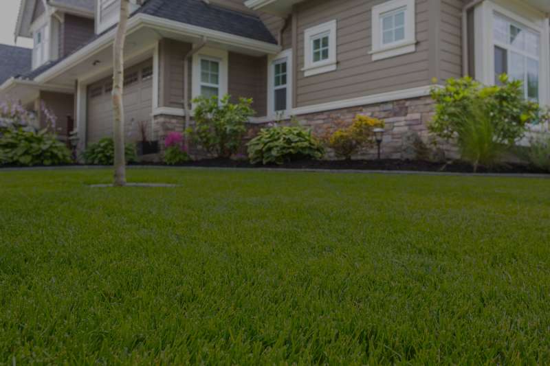 termite pest control service in Brian Head