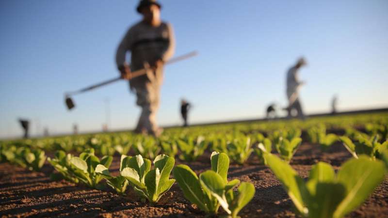 organic pest control companies in Altamont Village