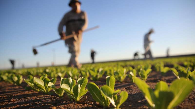 pest control insects in Clay County