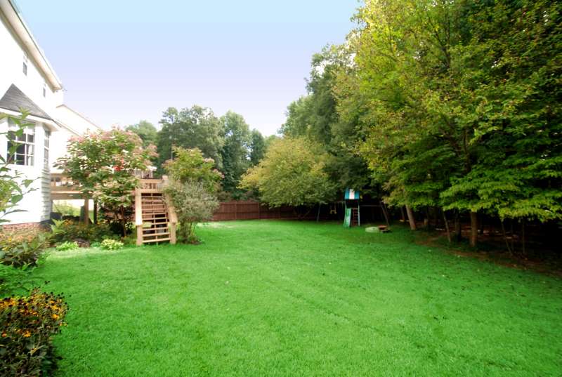pest control bees in Rock Island