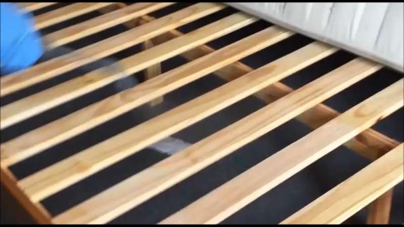 emergency bed bugs control in Germantown
