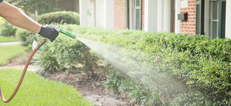 millipede pest control in North Vidor