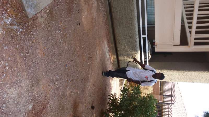 fumigation pest control in Casselman Borough