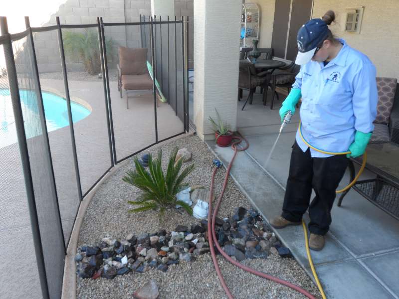 tree pest control in Hewitt Village